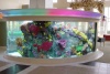 3000 Gallon Tropical Marine Aquarium, New York, USA